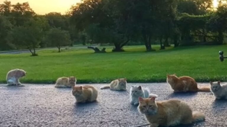 New Homeowners In NY Get The Surprise Of Their Lives