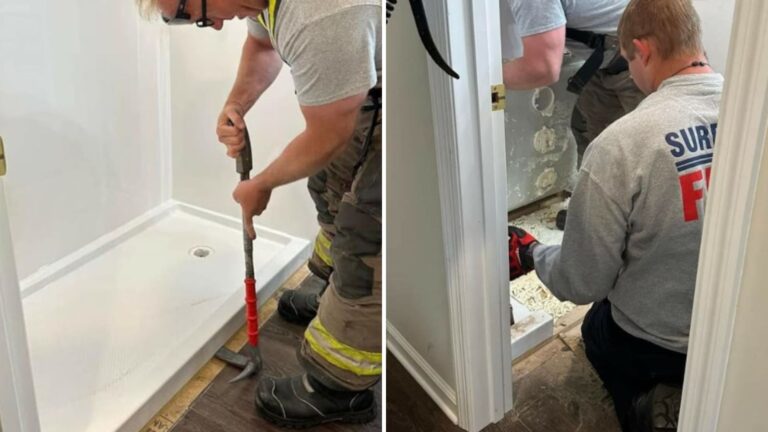 North Carolina Cat Accidentally Trapped Under Bathroom Remodel Gets Dramatic Rescue