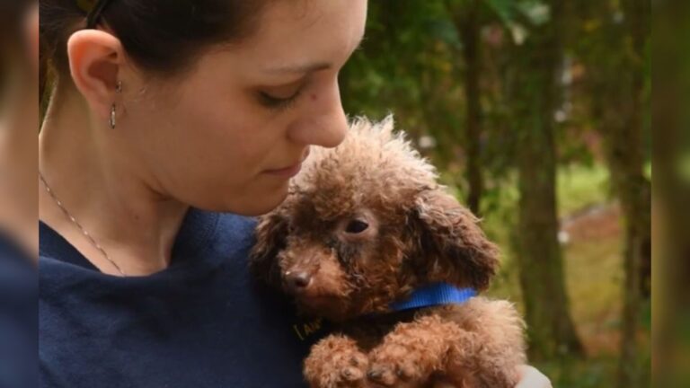 North Carolina Dog Freed From Puppy Mill After Years In Darkness Finally Sees Daylight