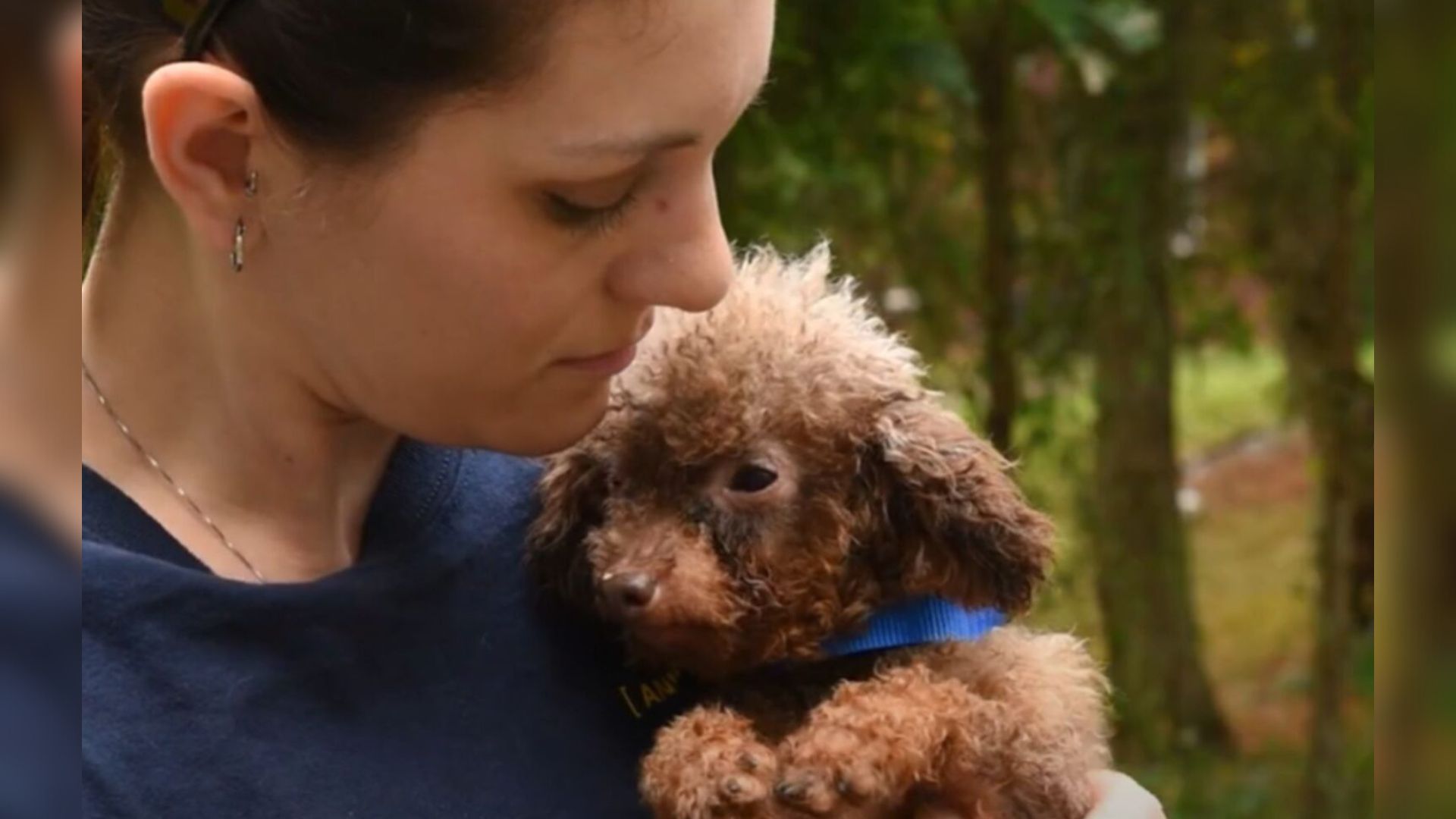 North Carolina Dog Freed From Puppy Mill After Years In Darkness Finally Sees Daylight