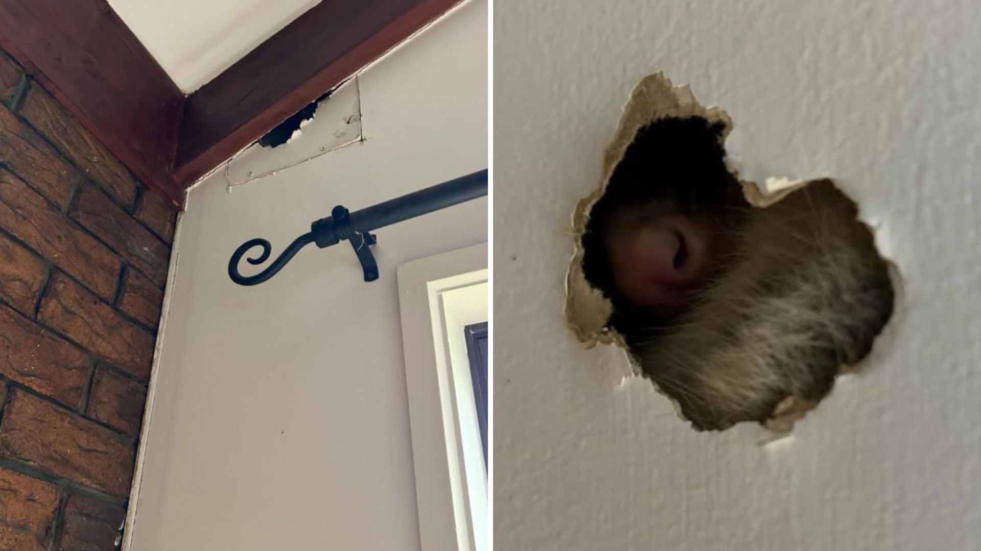 Ohio Couple Spots A Hole In Their Wall