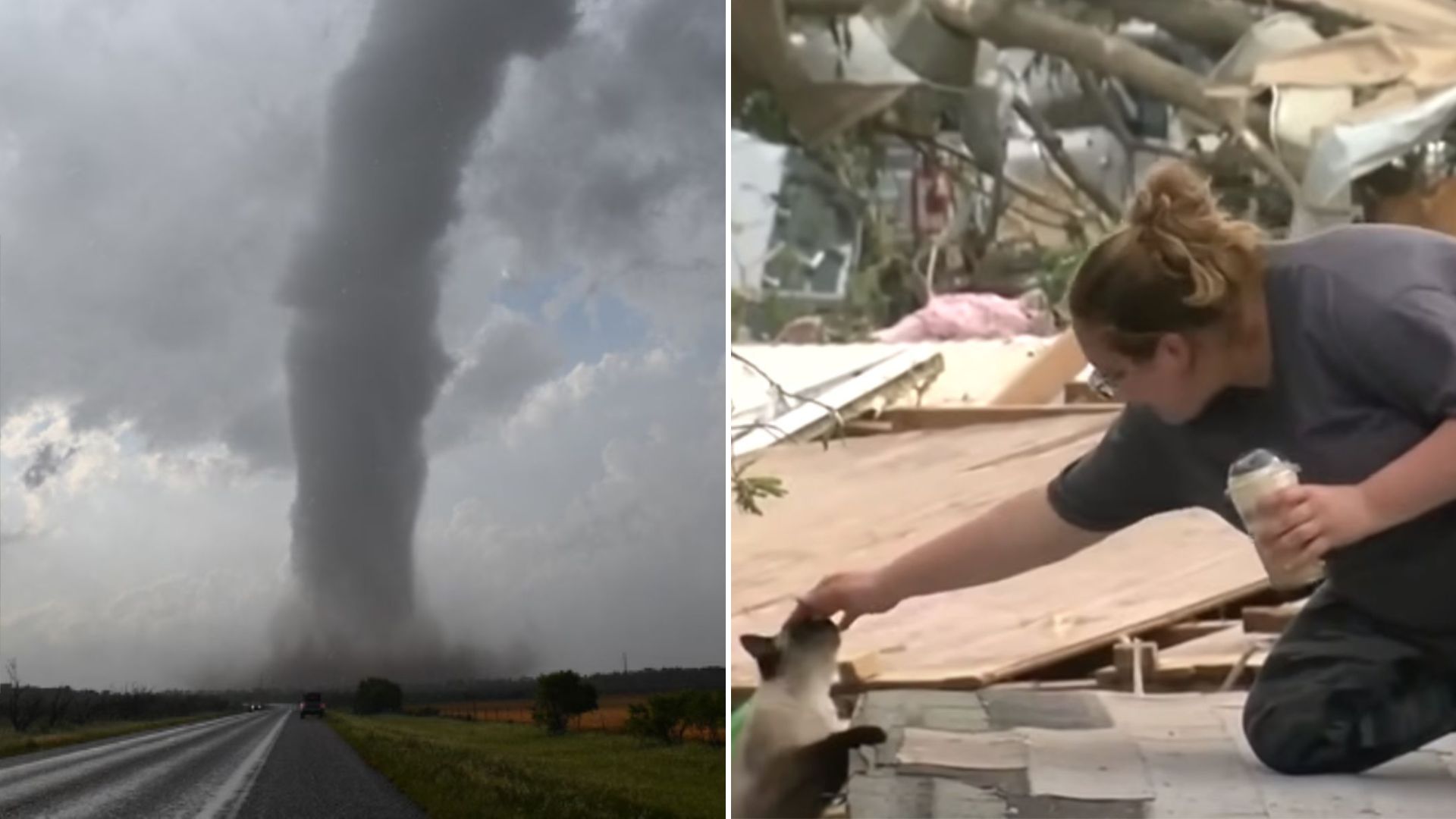cat rescued from a large tornado