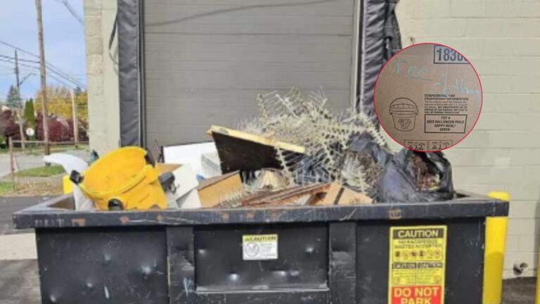 free clothes kittens