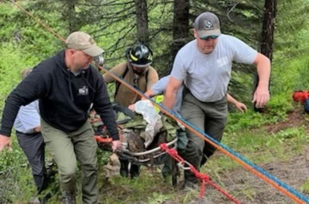 Rescuers are carrying a man on a stretcher
