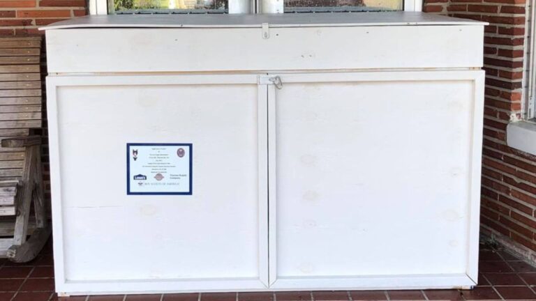 Shelter Staff In Georgia Opens A Donation Box