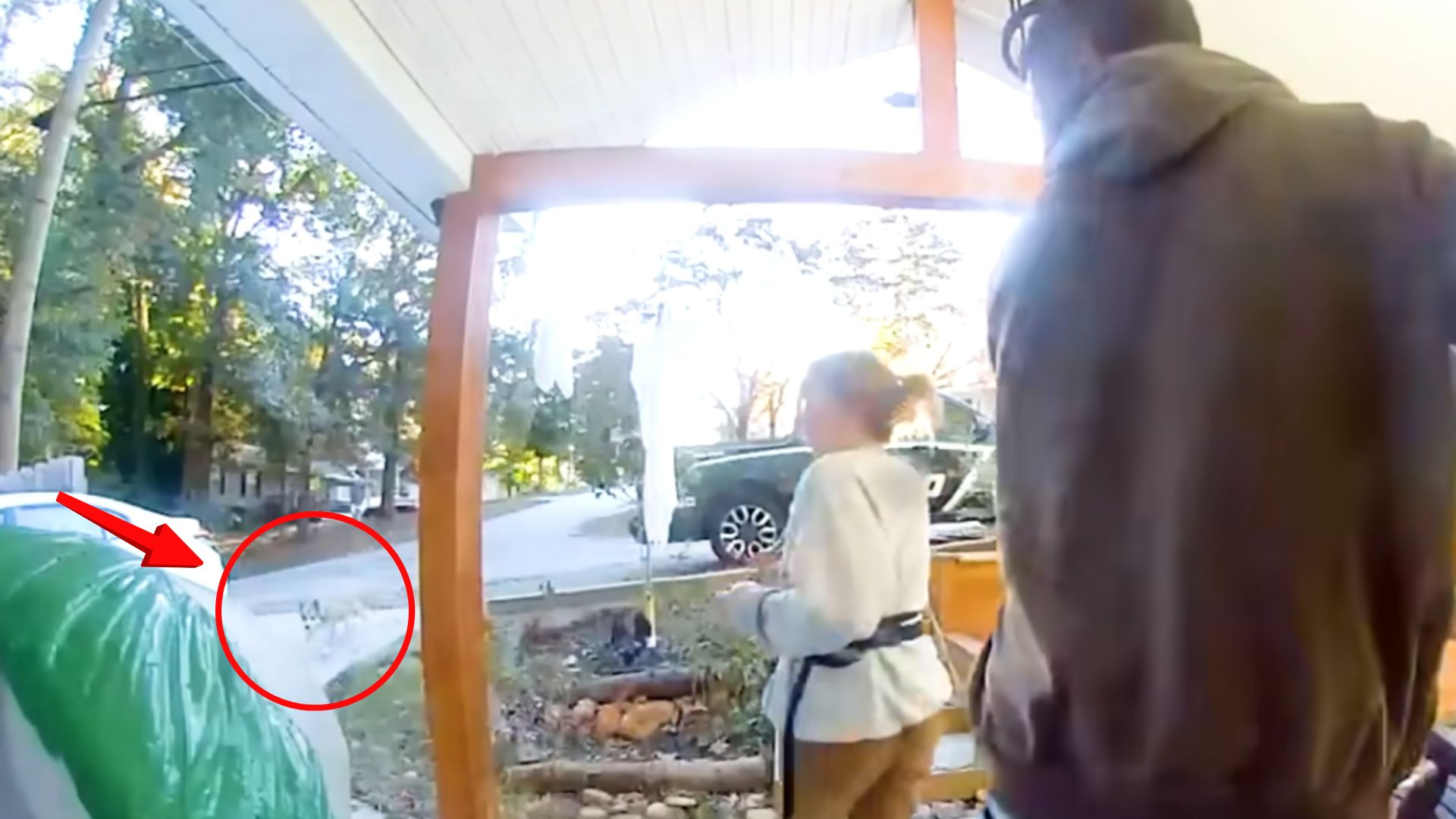 South Carolina Couple Thought A Coyote