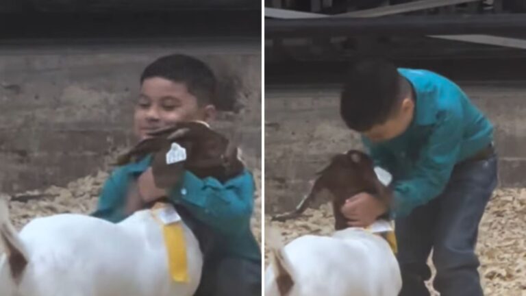 a boy with his goat