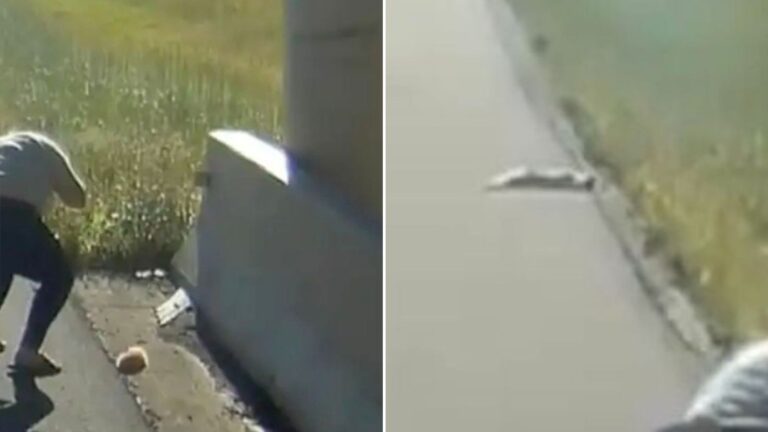 a man found something by the side of the road