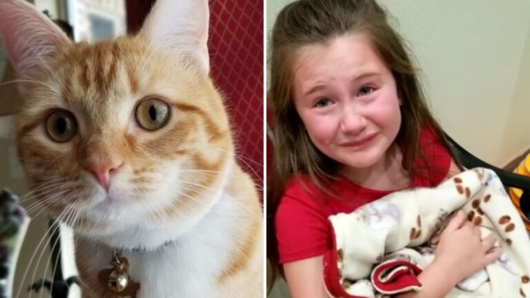 Texas Girl With ADHD Gets The Gift She Needed Most