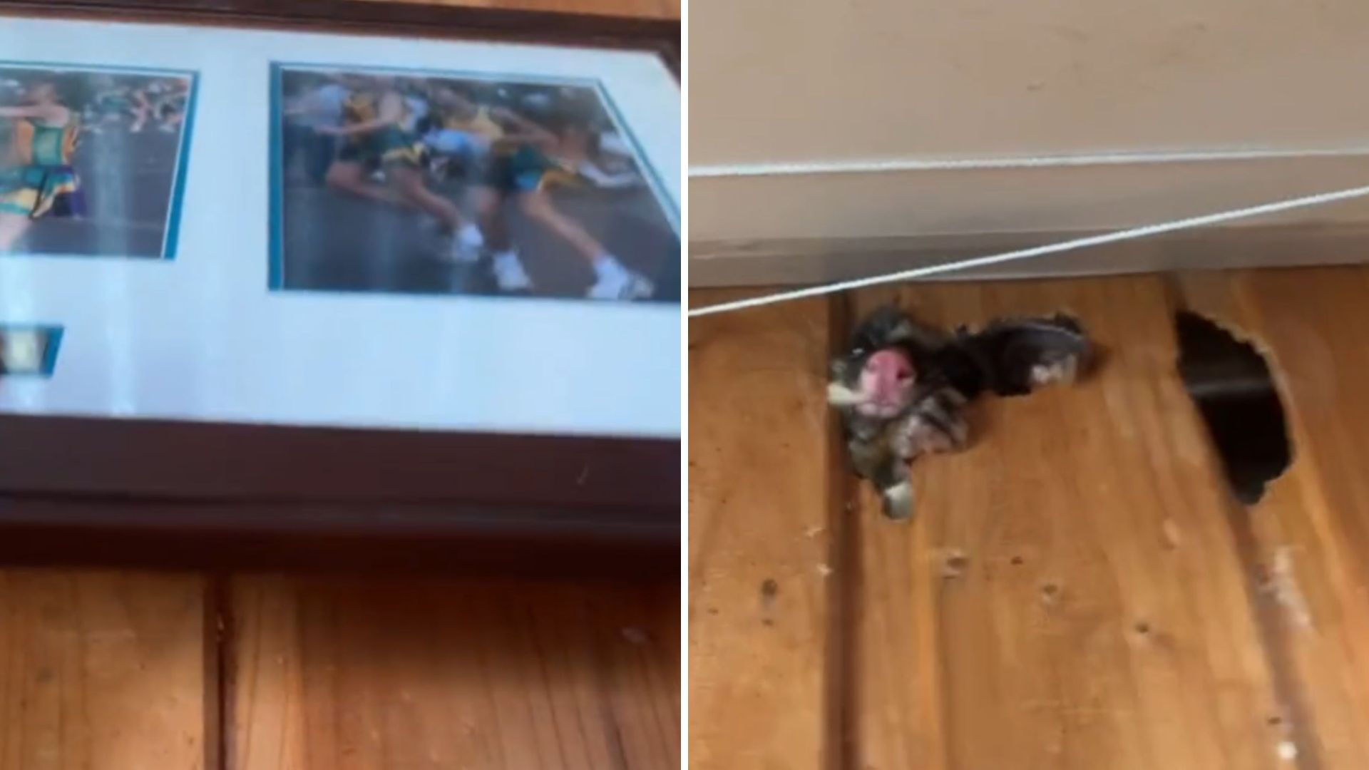 Texas Homeowner Lifts A Picture Frame From The Wall