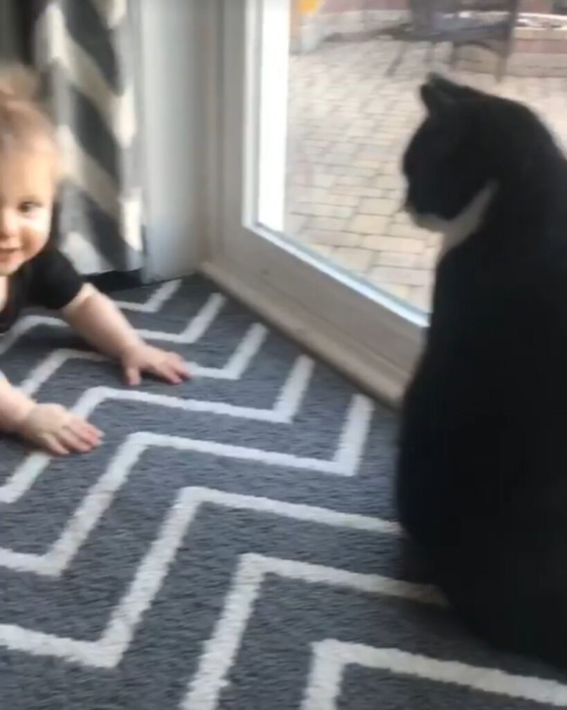 The boy is crawling next to the cat