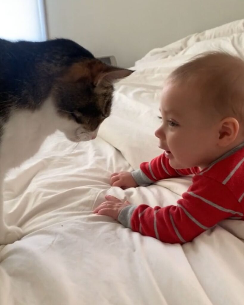 The boy lies down facing the cat