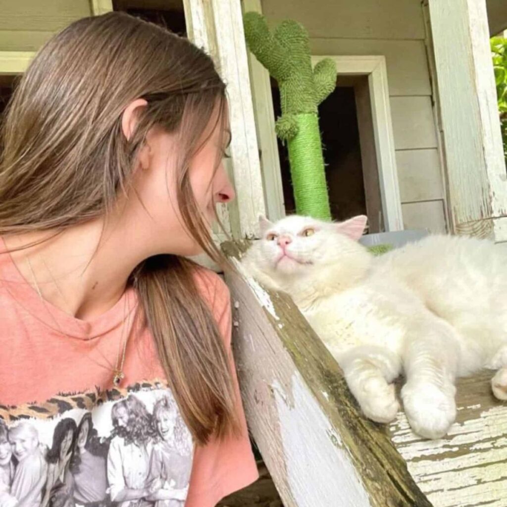 The cat and the girl are looking at each other