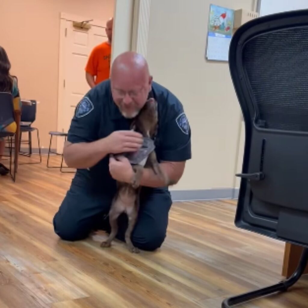 The dog is cuddling with the policeman