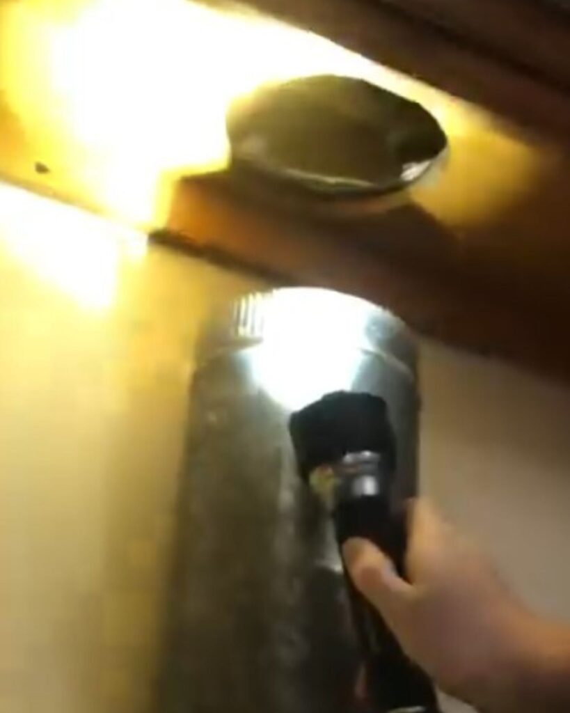 The dog shines a flashlight into the oven