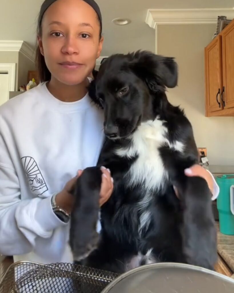 The girl grabbed the black dog by its front paws