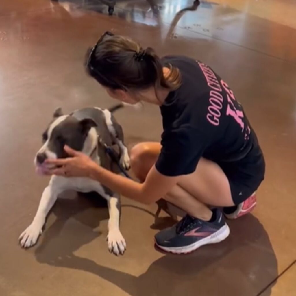 The girl is training the dog