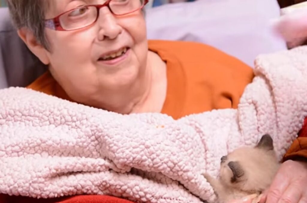 The kitten is lying on the woman