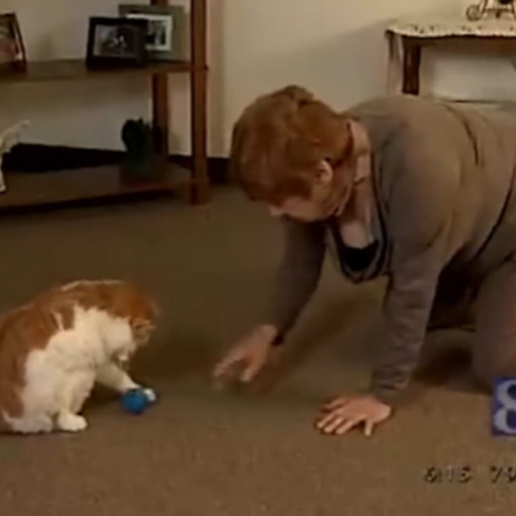 The woman is playing with the cat