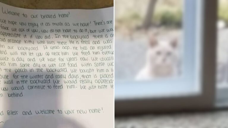 family discovers surprising note