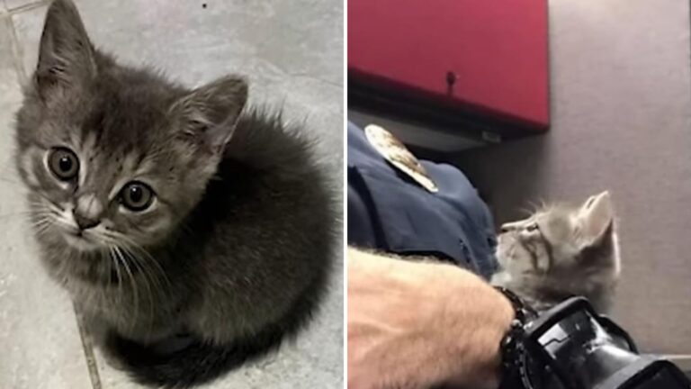 a man with a colorful machete in his hands