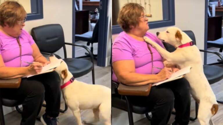 woman signs adoption papers