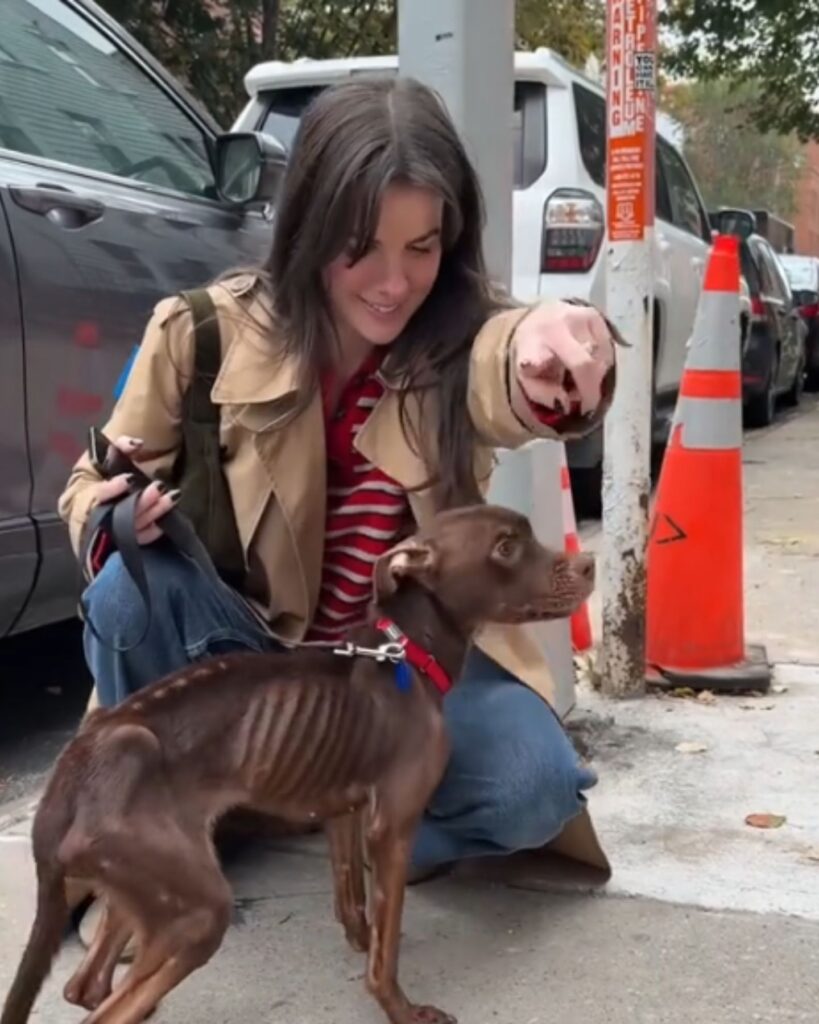 a girl crouched next to her dog