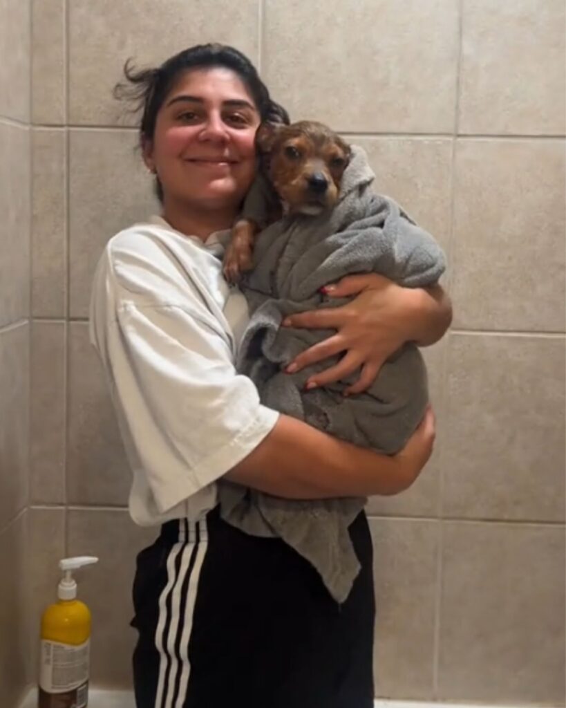 a girl holds a bathed dog in her arms