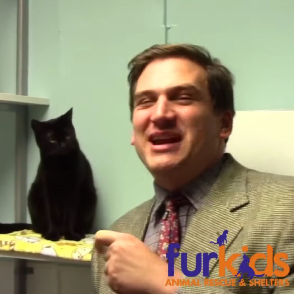 a man points at a sitting cat