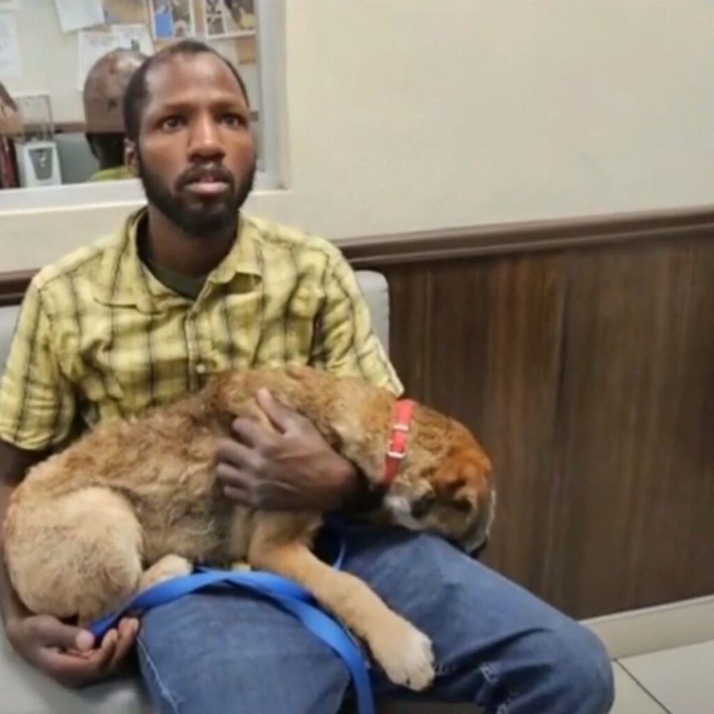 a man sits and holds a dog on his knees