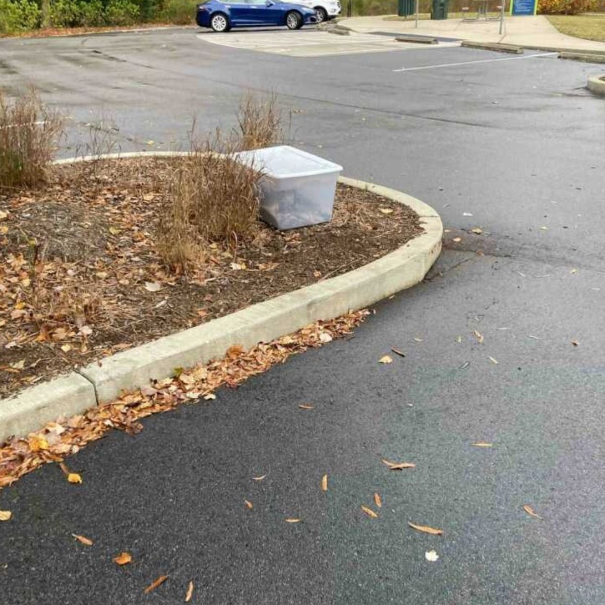 abandoned plastic box