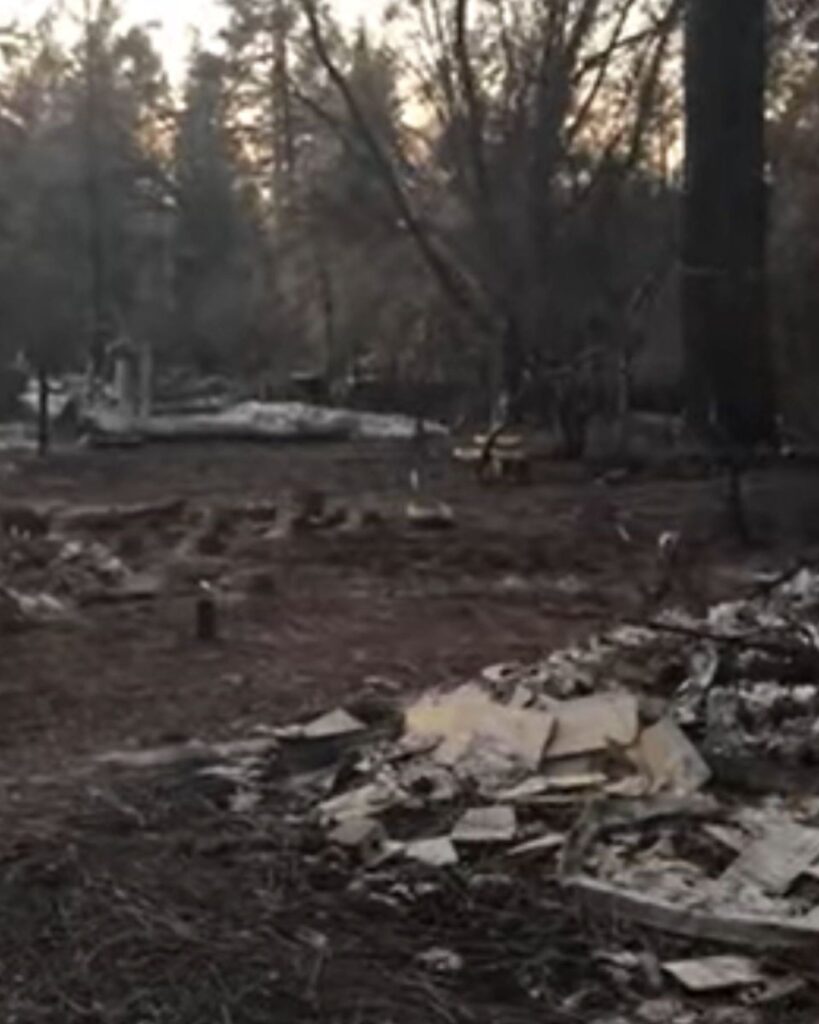 abandoned yard after fire