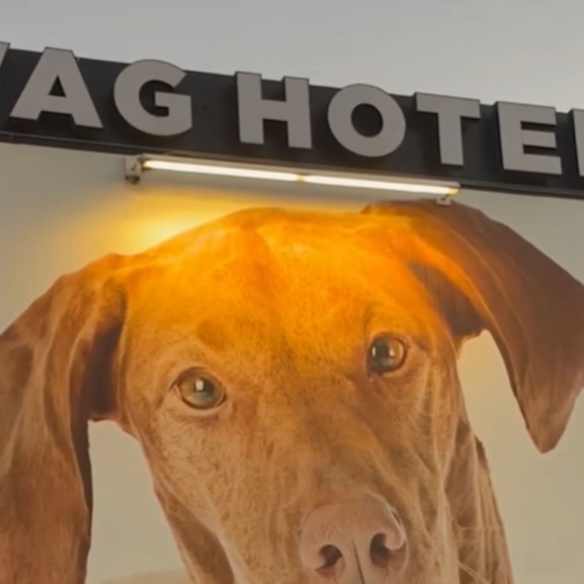 advertisement for a hotel