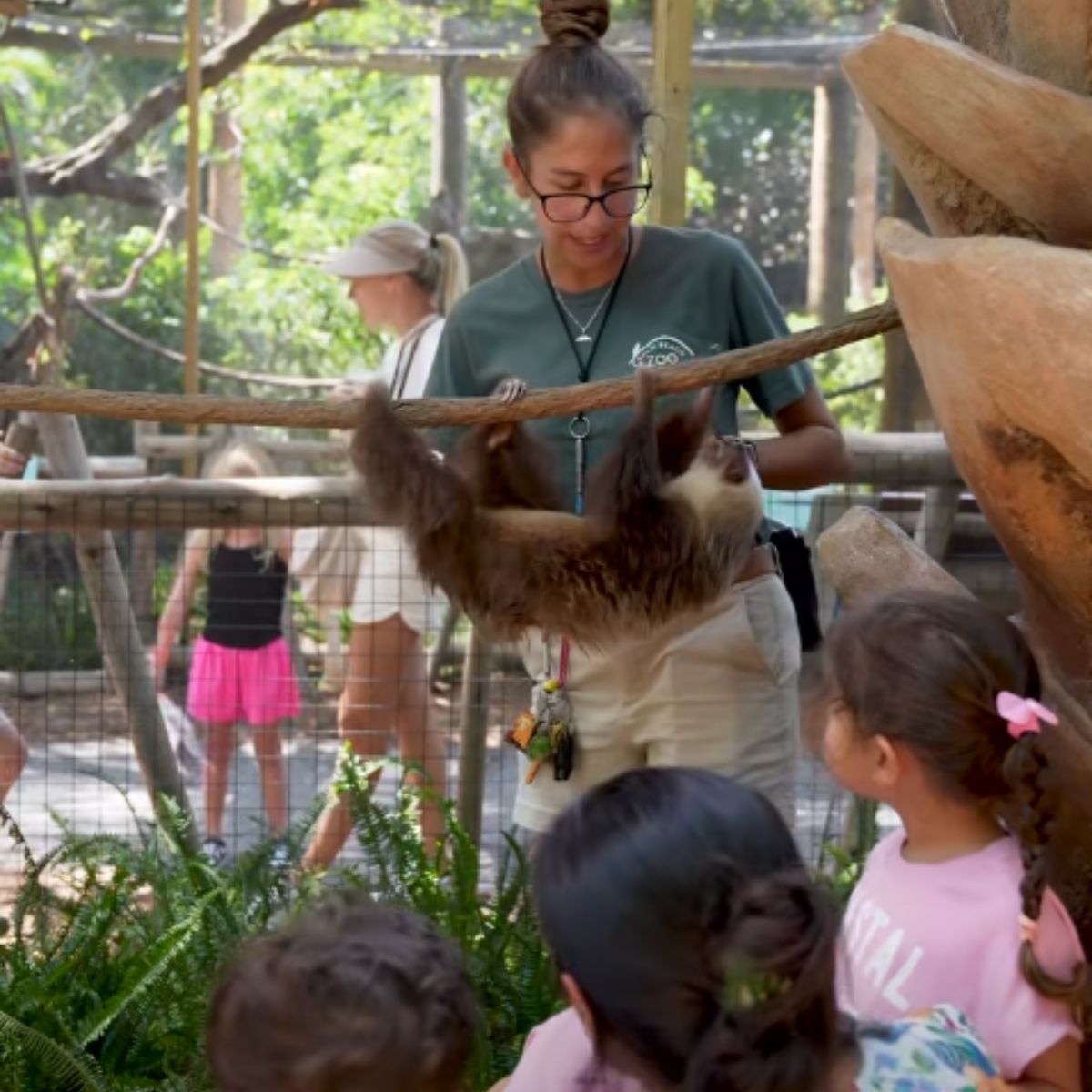 children watch tamarins and sloths
