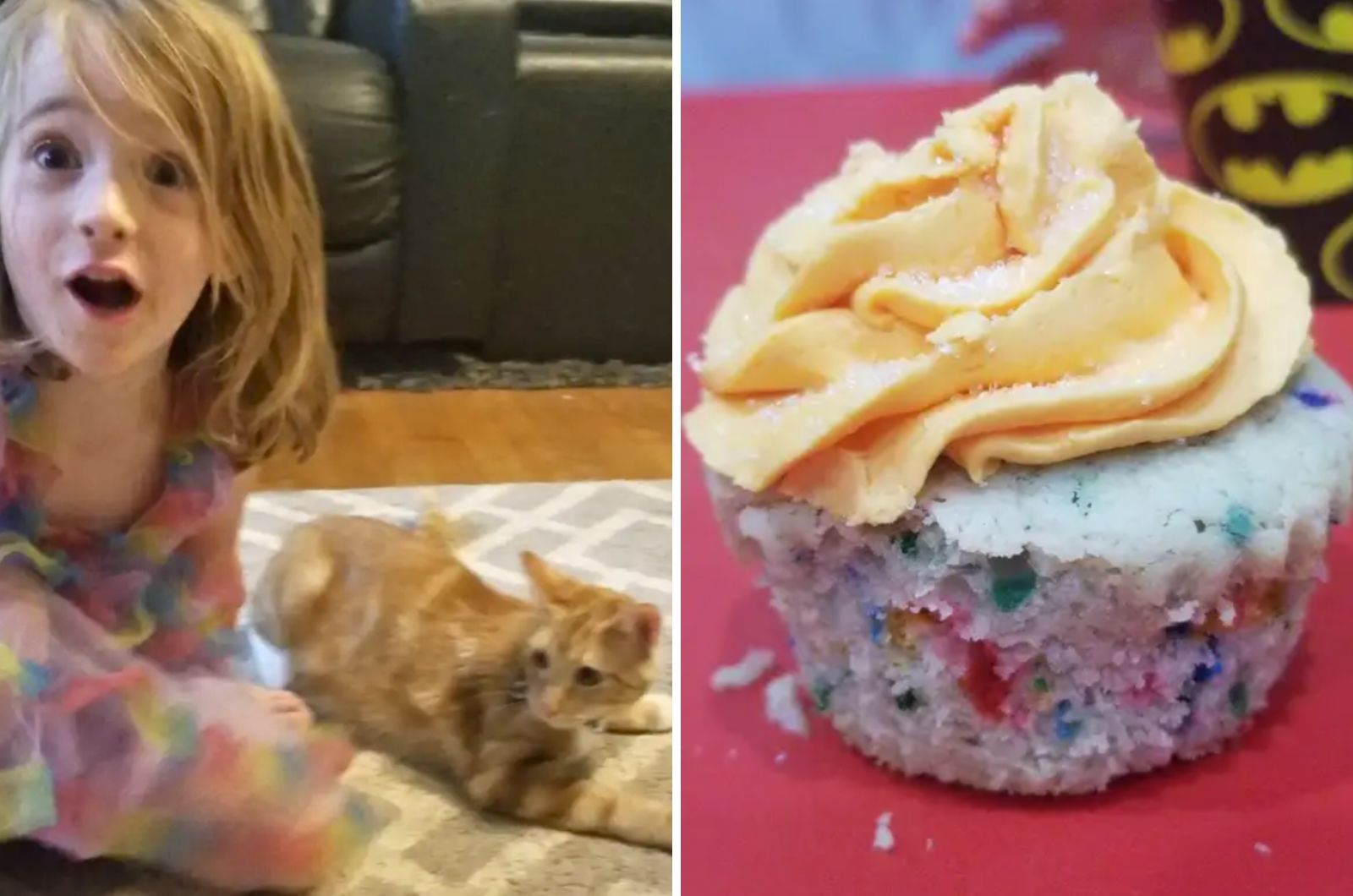 cookie girl and ginger cat