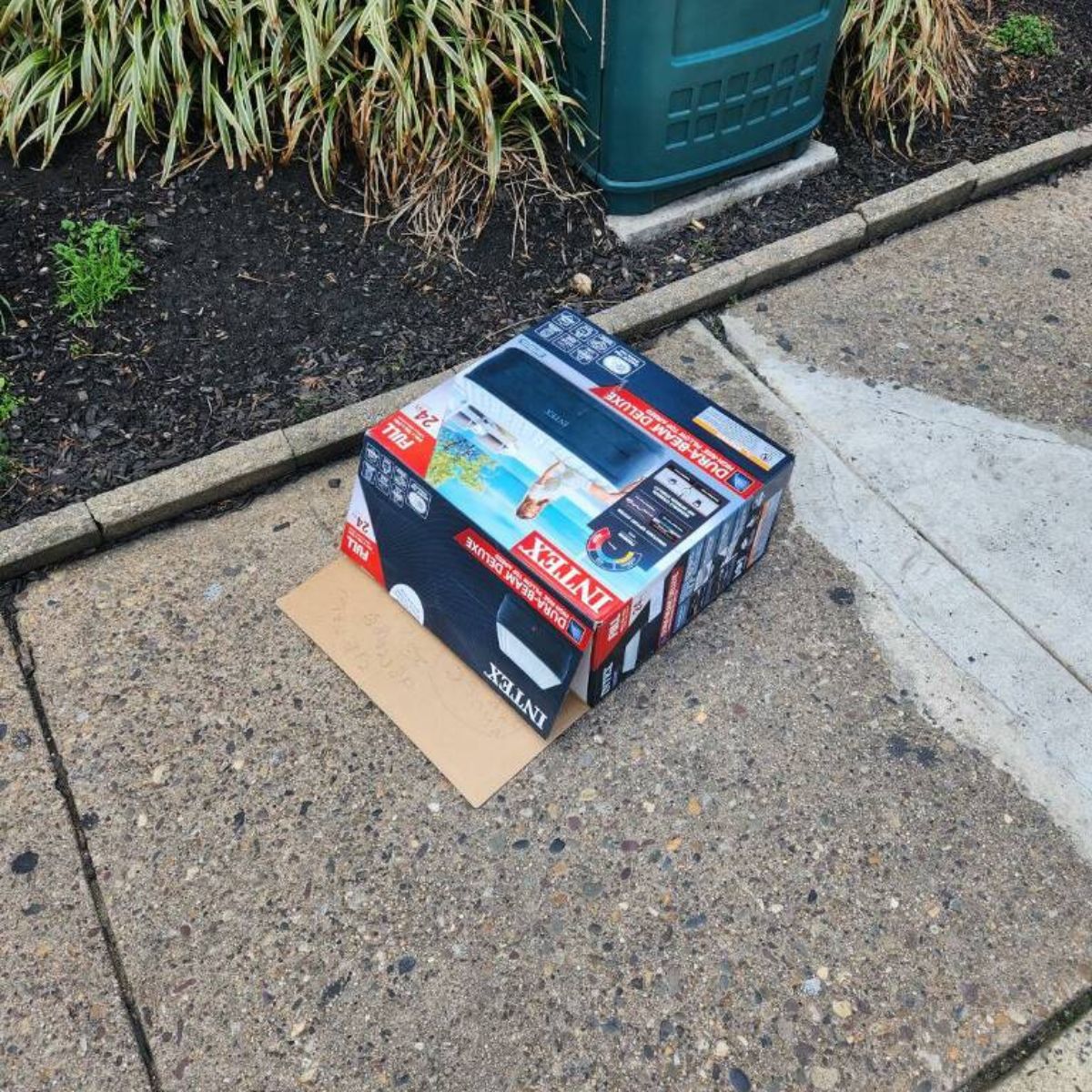 crying creature in box on sidewalk