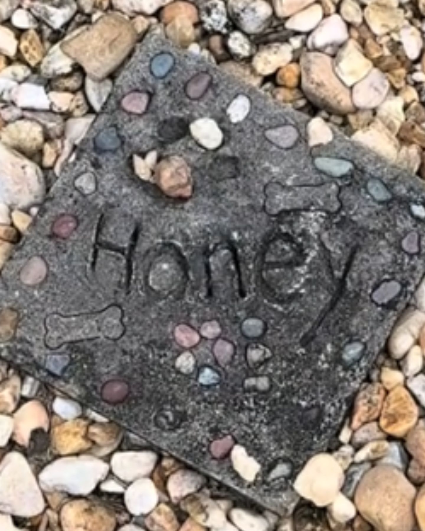 dog grave in backyard