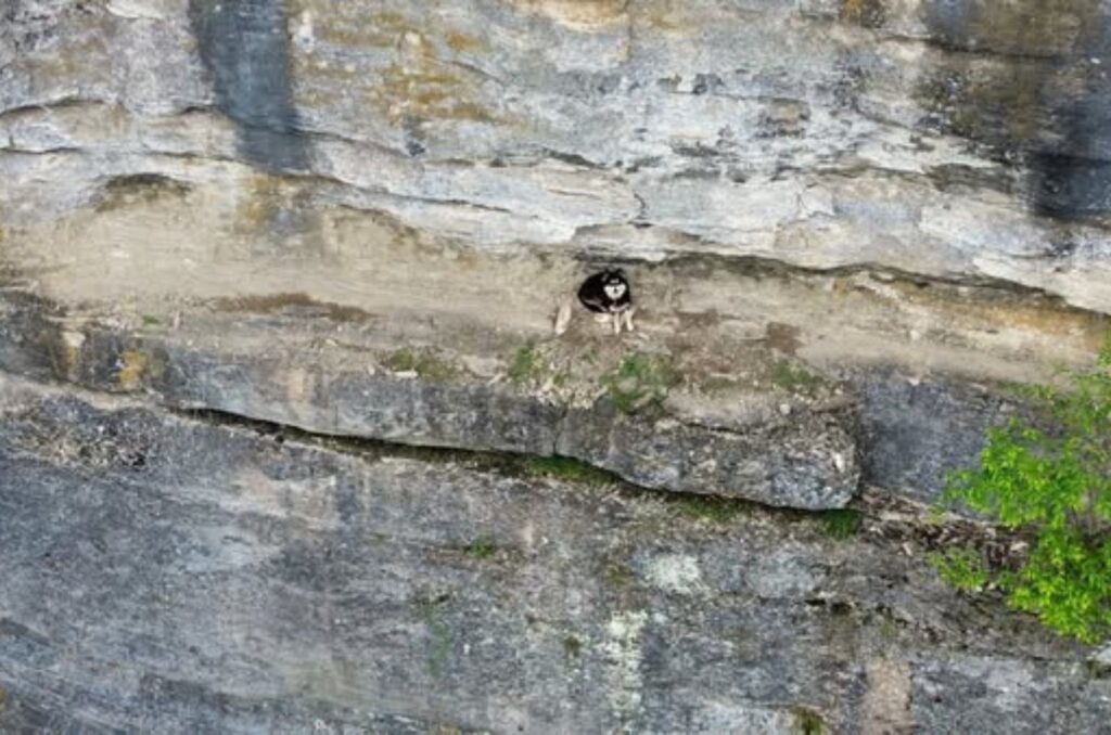 a man is climbing down a cliff