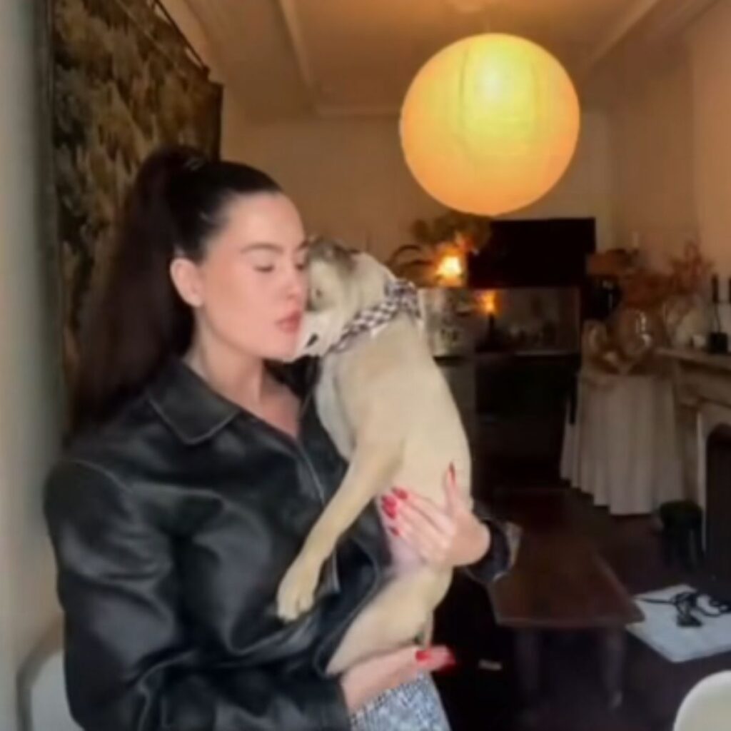 dog in a woman's arms