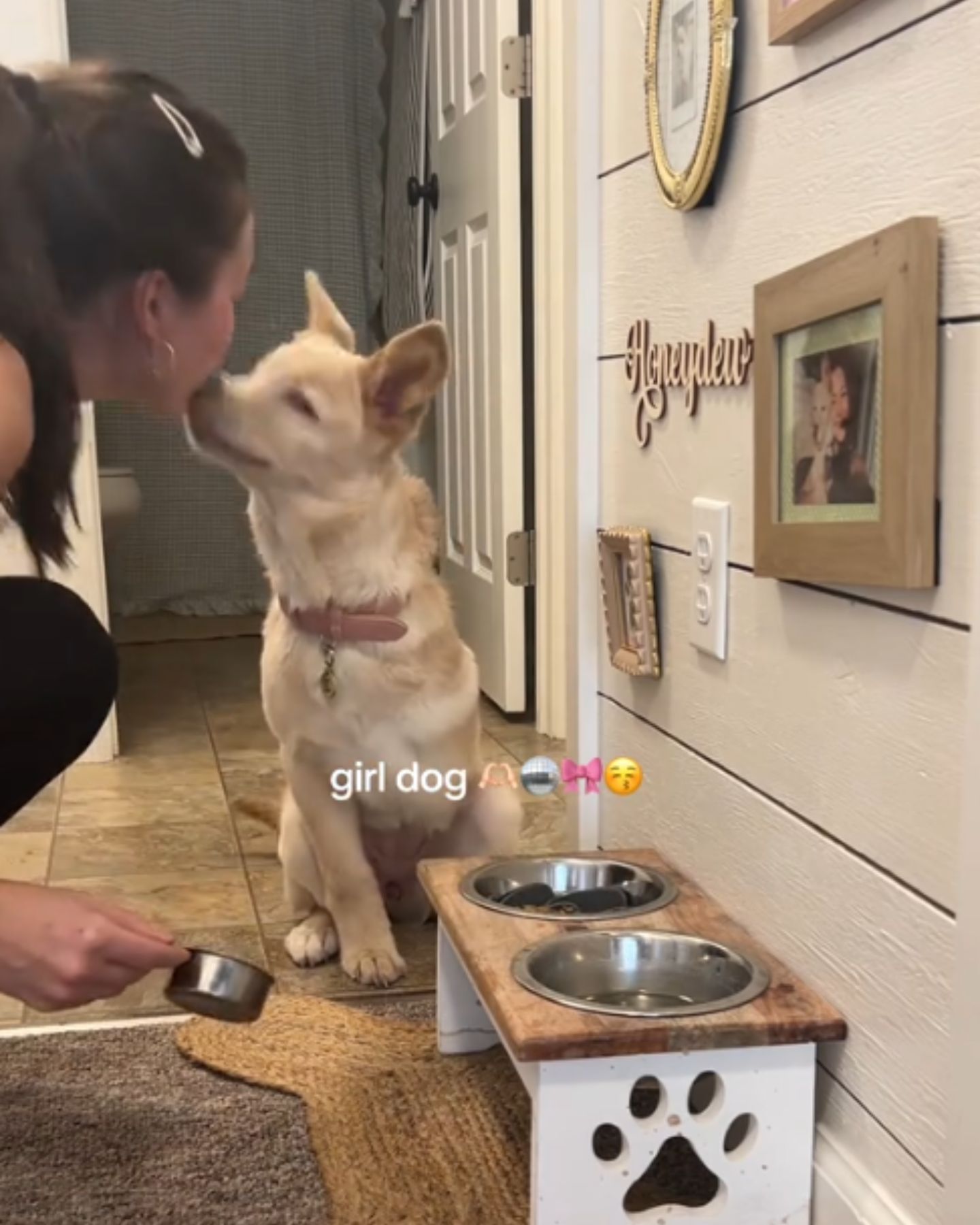 dog kisses to start eating