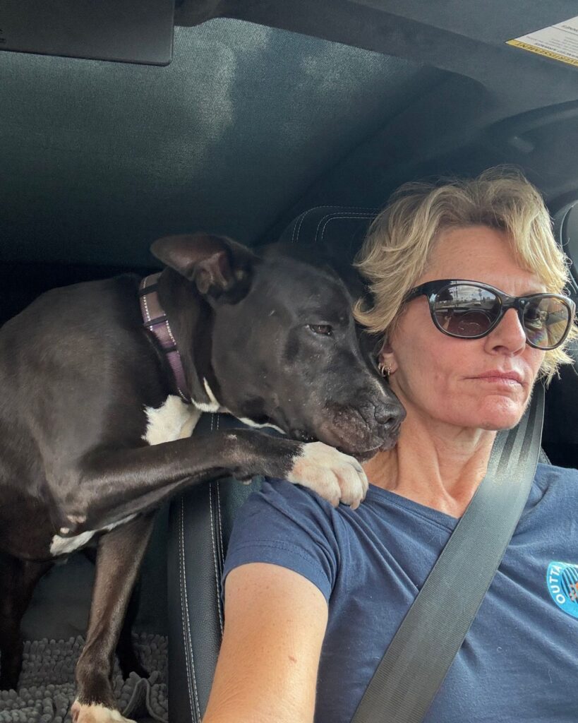 dog leaning on man's shoulder while driving