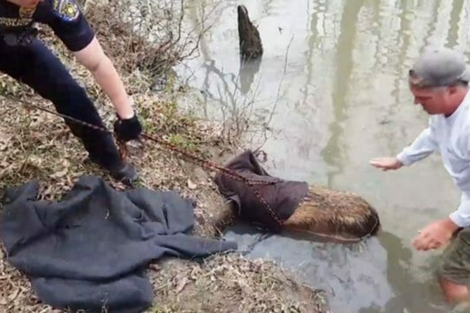 dog rescue from water