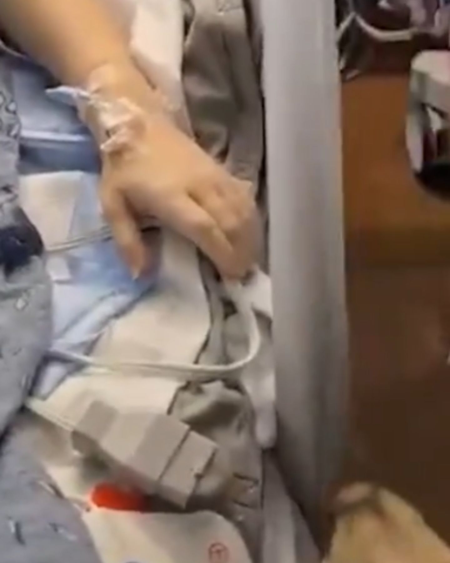 dog sniffs sick woman's hand