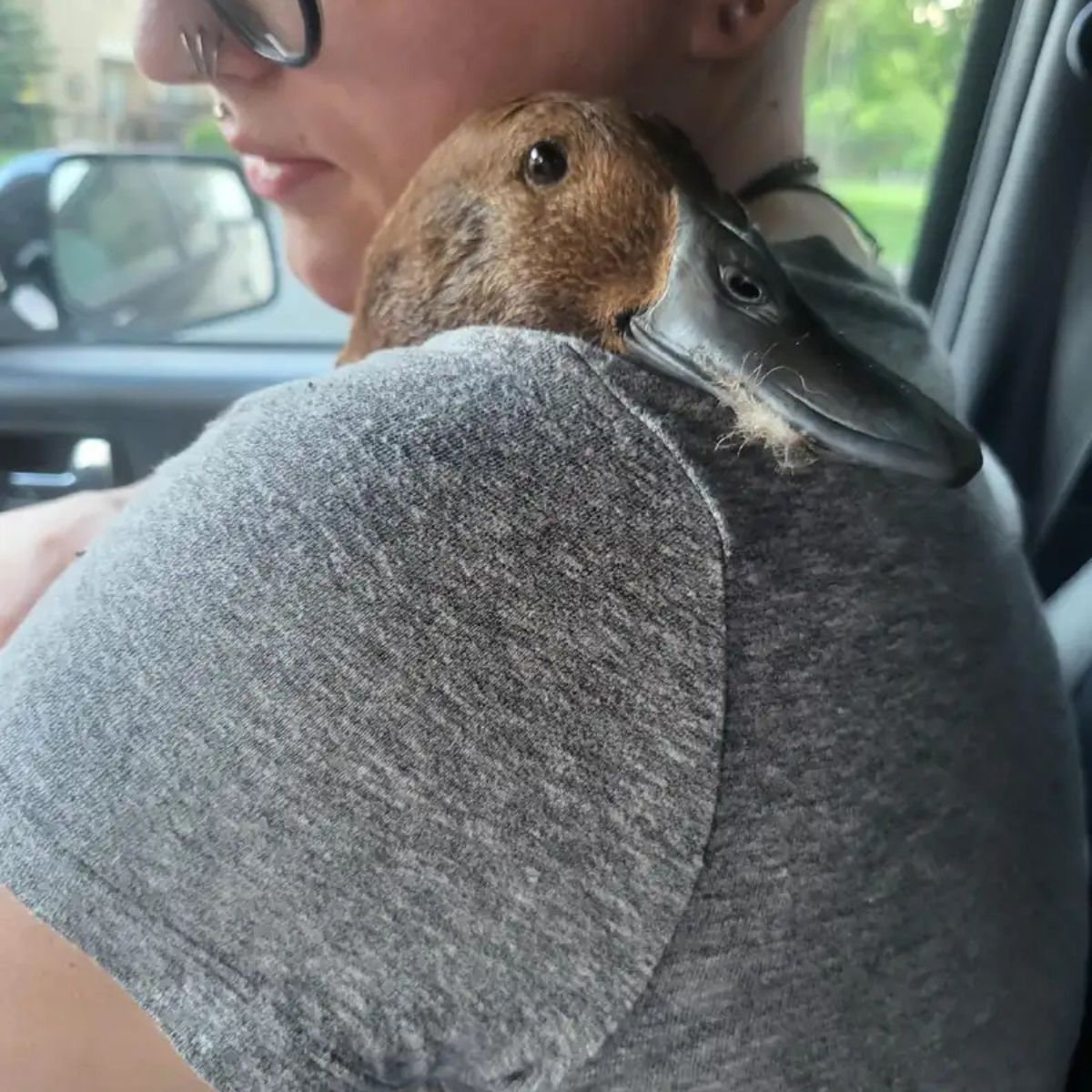 duck on a man's shoulder