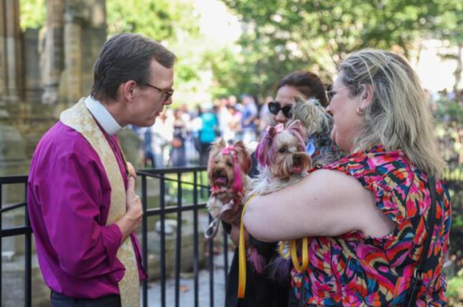 family with dogs at animals event