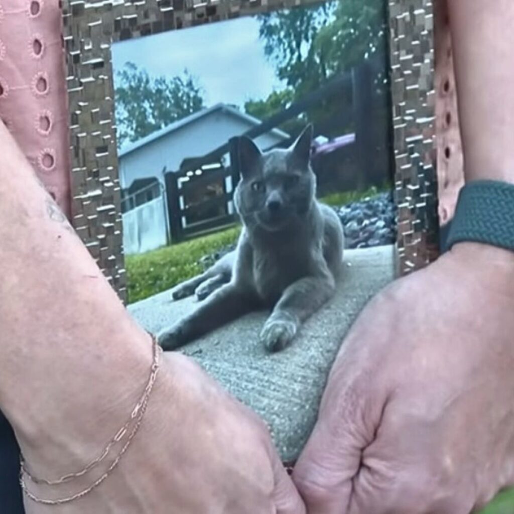 girl holding a picture of a cat