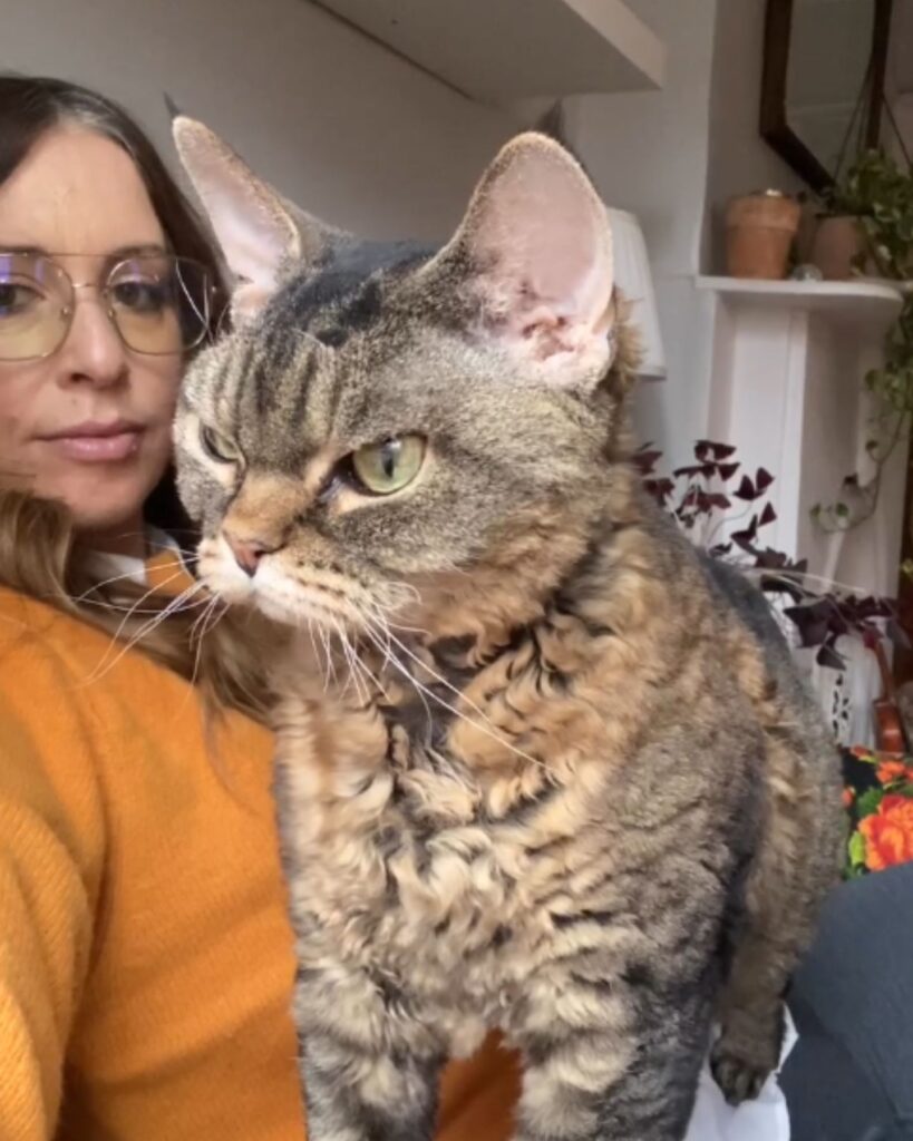 girl with a sullen cat