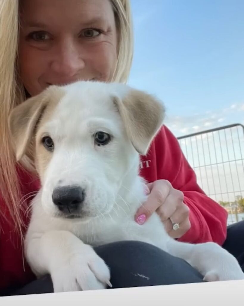 girl with a white dog