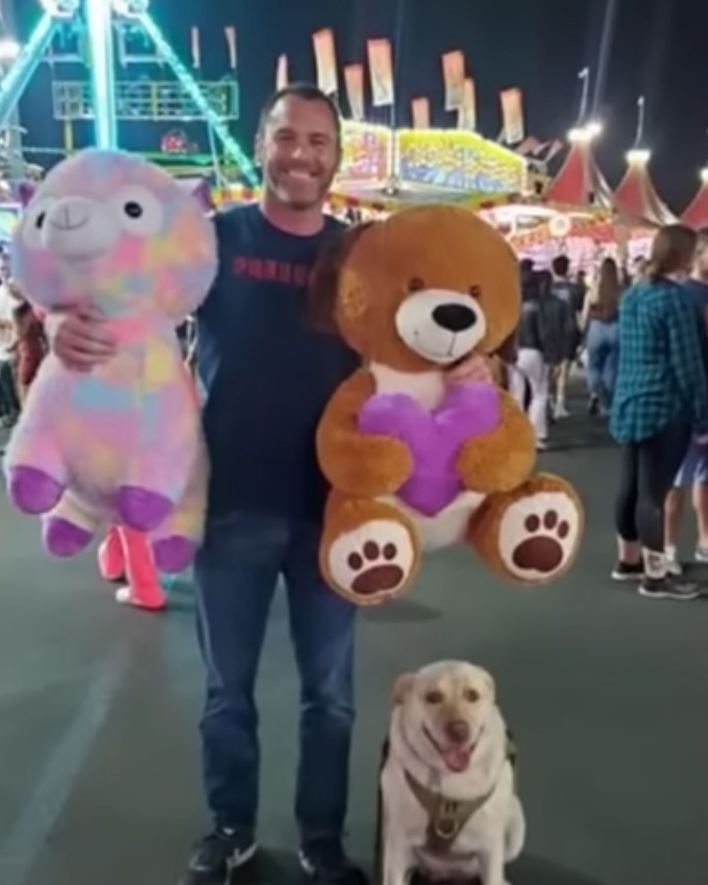 happy dog ​​with human and teddy bears