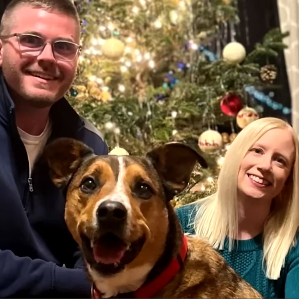 happy family with a happy dog